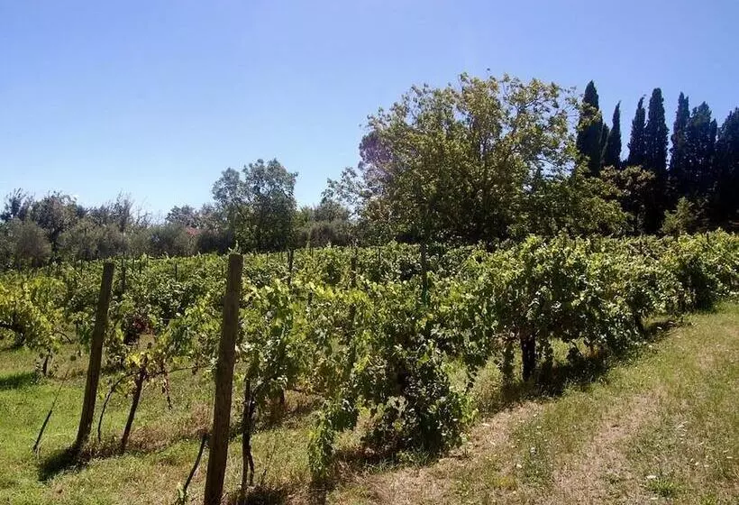 ホテル La Spiga D Oro