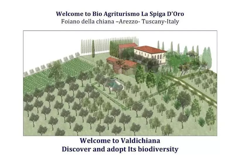 ホテル La Spiga D Oro