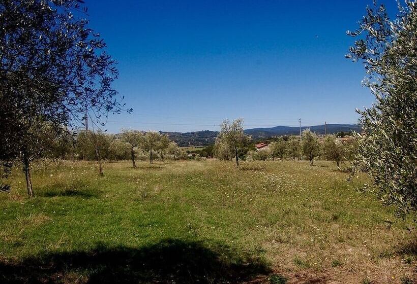 ホテル La Spiga D Oro