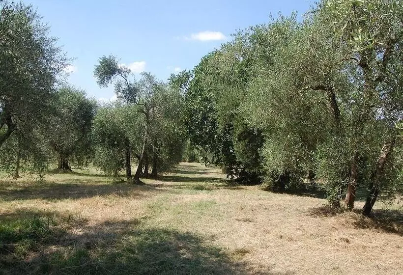 ホテル La Spiga D Oro