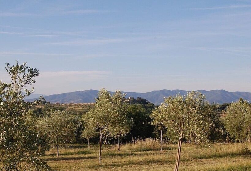 ホテル La Spiga D Oro