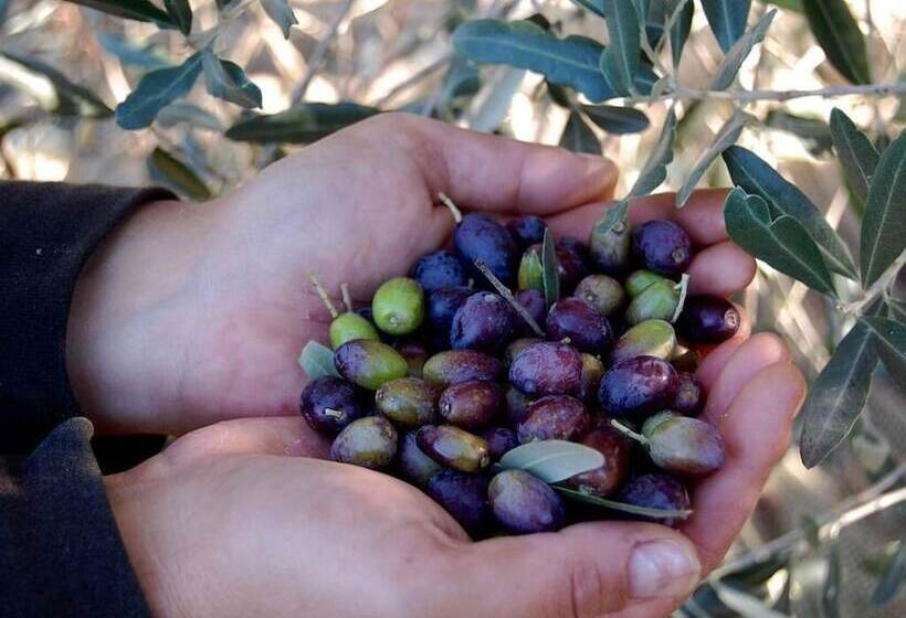 ホテル La Spiga D Oro