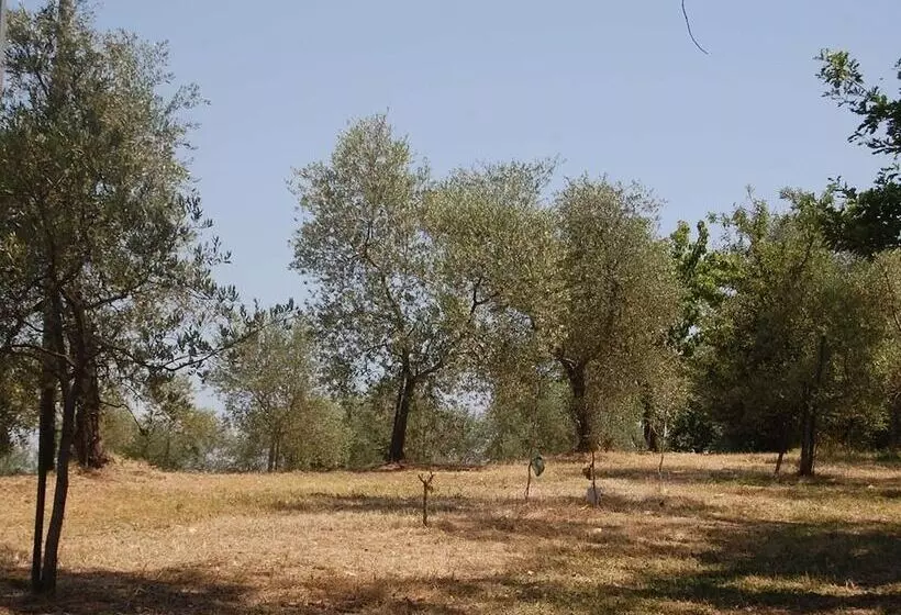 ホテル La Spiga D Oro