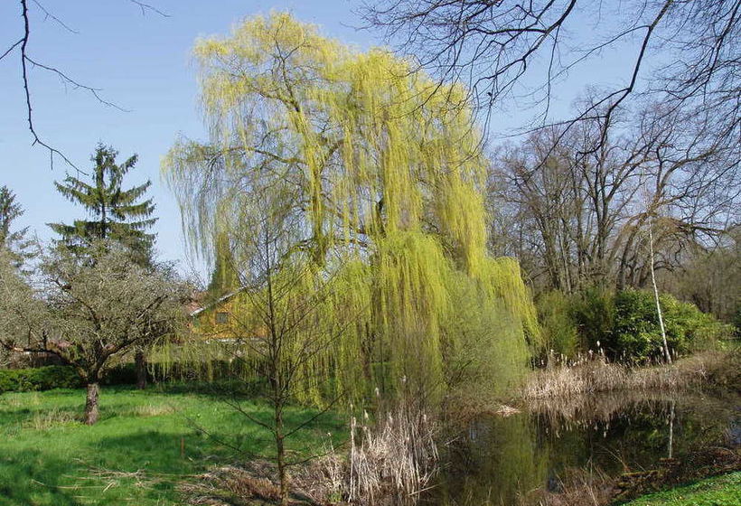 בית מלון כפרי Château De Werde