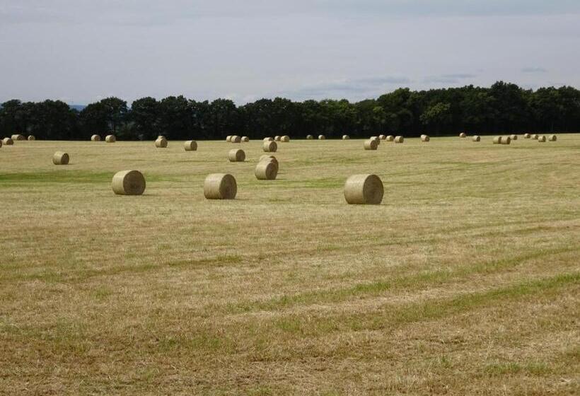 ホテル Haus Hillebrand