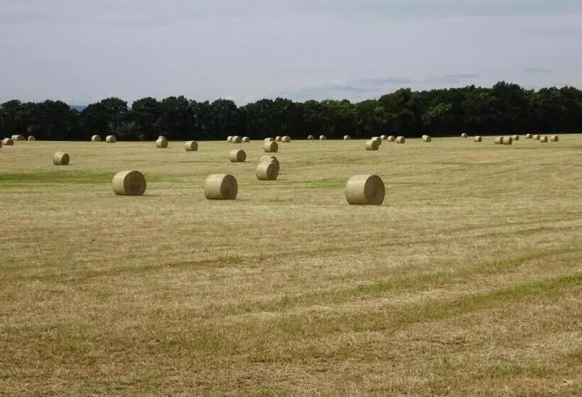 酒店 Haus Hillebrand