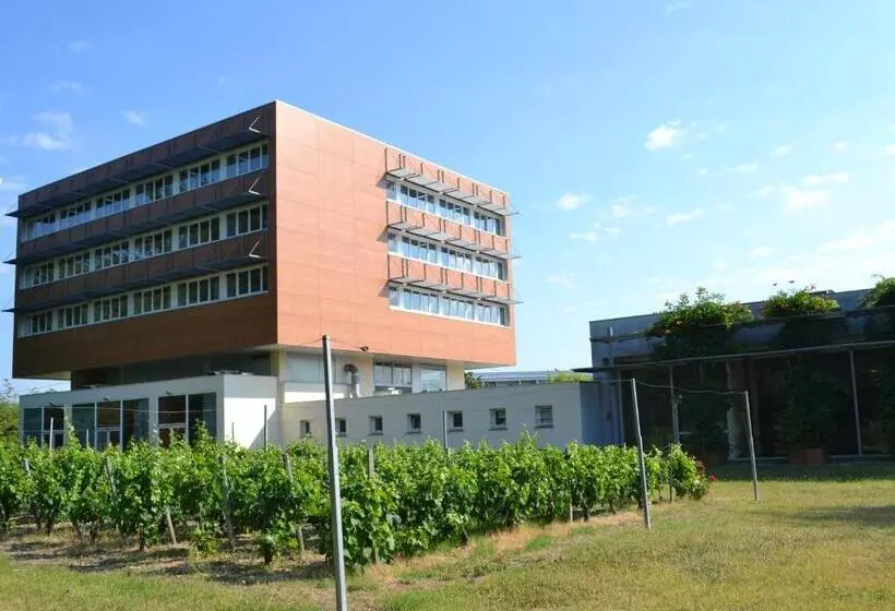 בית מלון כפרי Hôtel De Guyenne