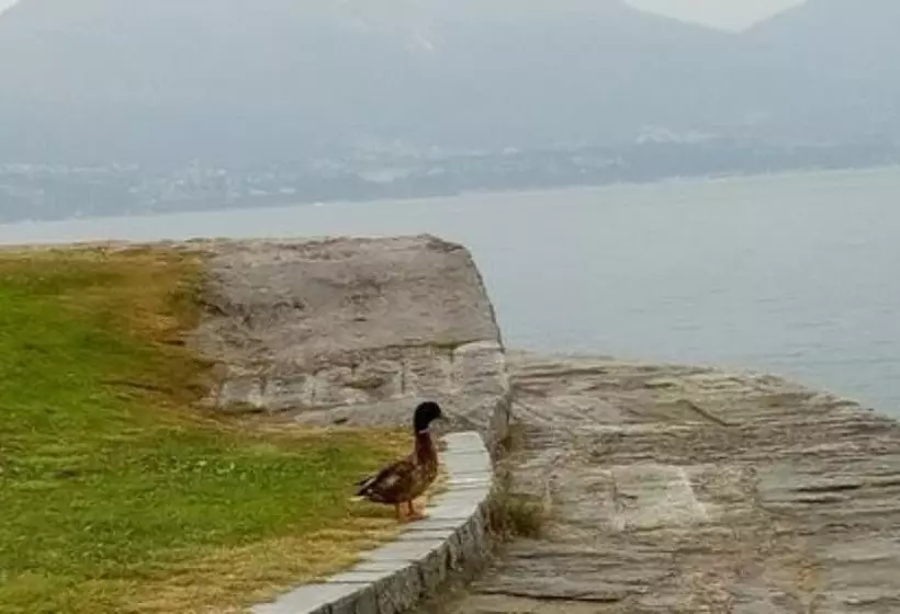 호텔 La Rondinella