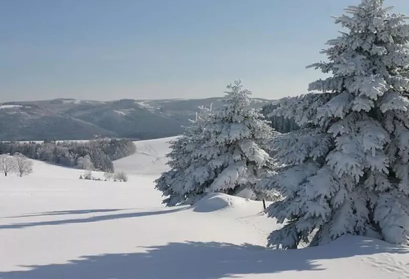 Waldhotel Kreuztanne