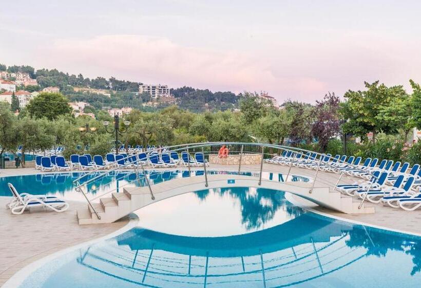 Narcis   Maslinica Hotels & Resorts