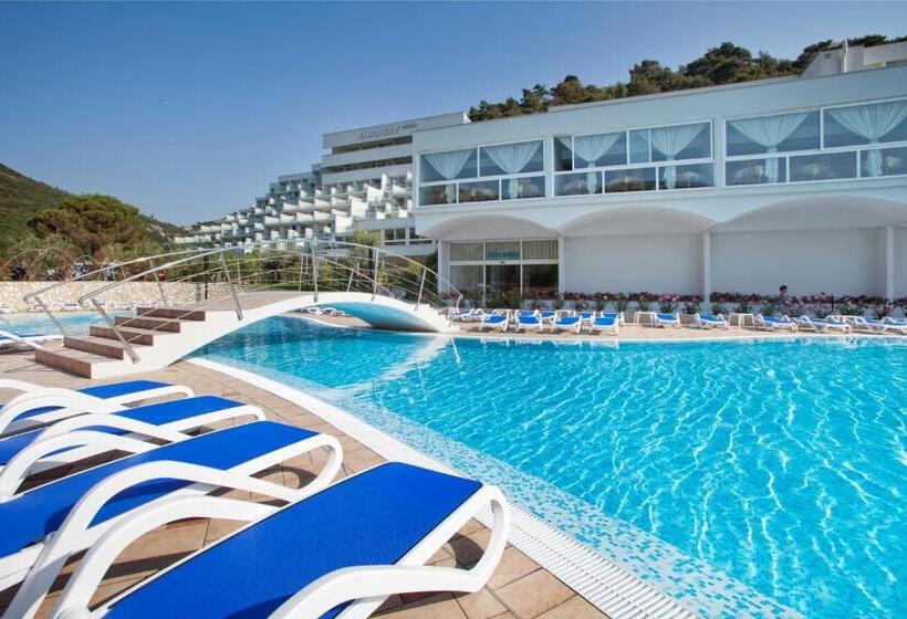 Narcis   Maslinica Hotels & Resorts