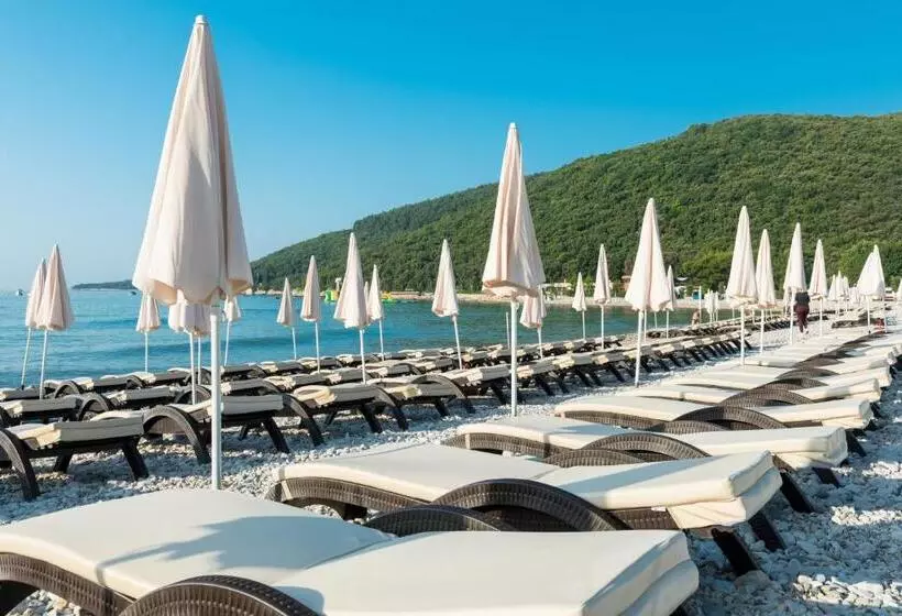 Narcis   Maslinica Hotels & Resorts