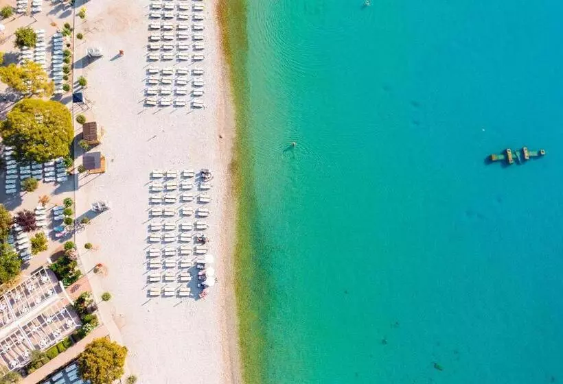 Narcis   Maslinica Hotels & Resorts