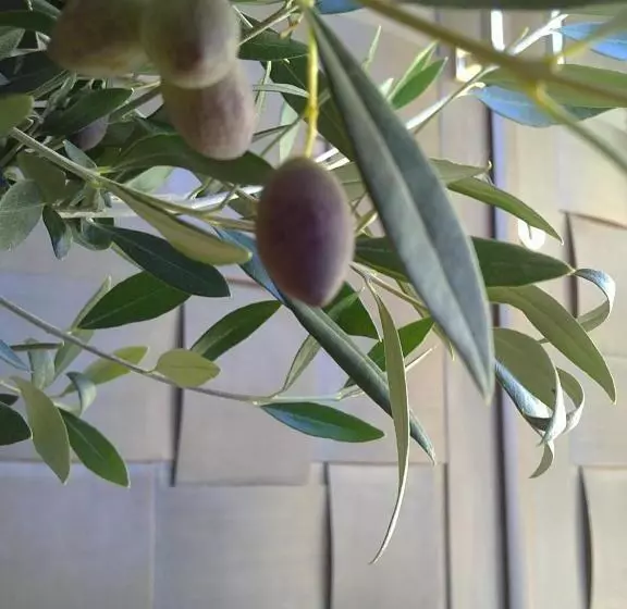 Villa Del Lago Boutique