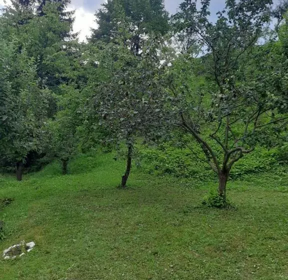 Casa Poiana Largului