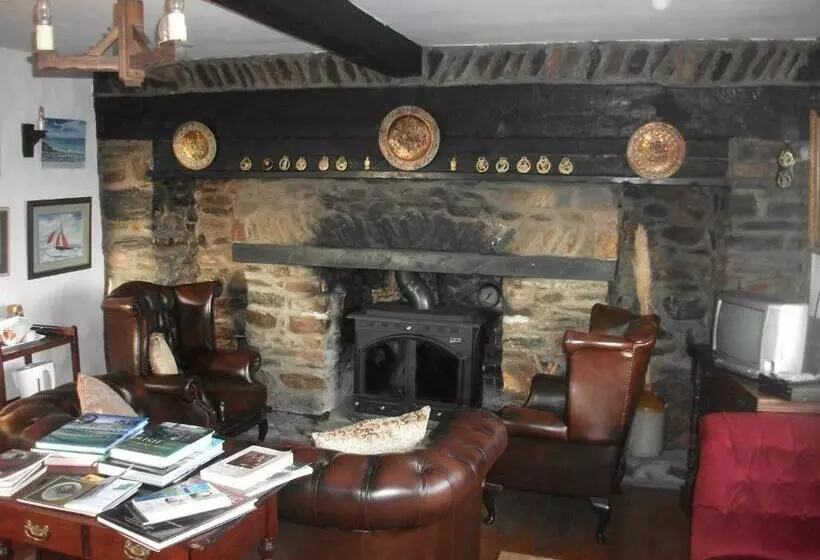 Fuchsia House Bed And Breakfast Connemara