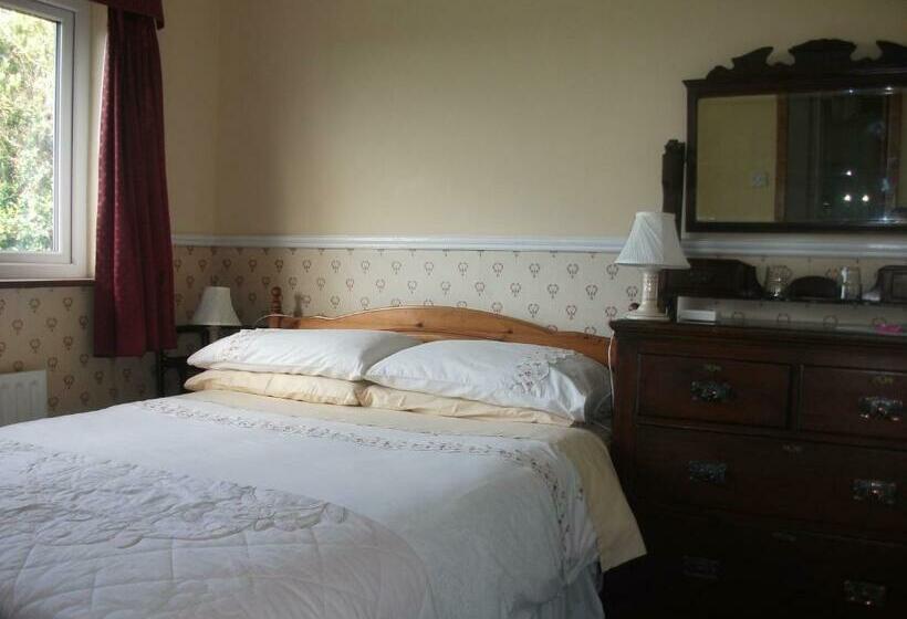Fuchsia House Bed And Breakfast Connemara