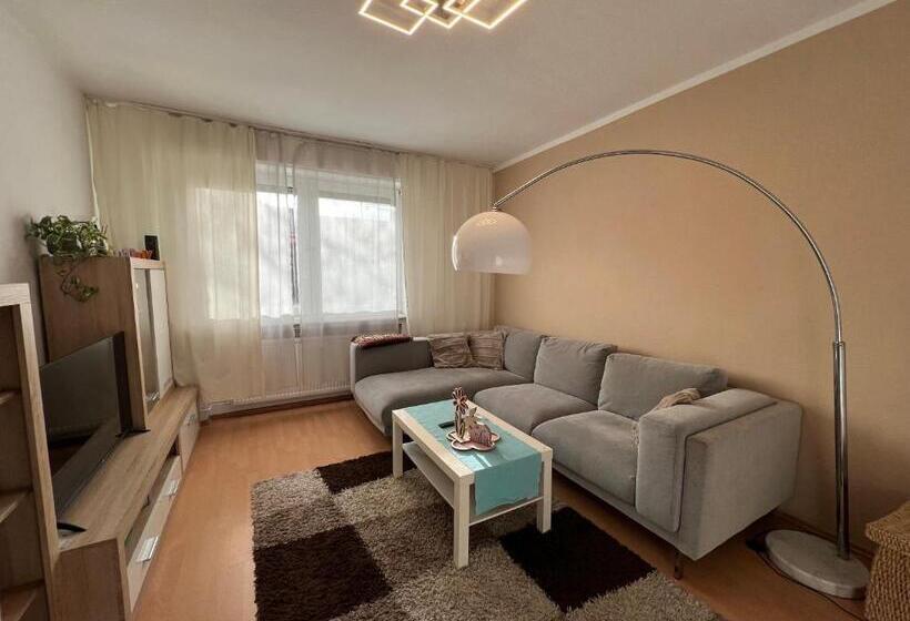 Gemütlich Eingerichtete 2 Zimmer Wohnung In Duisburg Meiderich