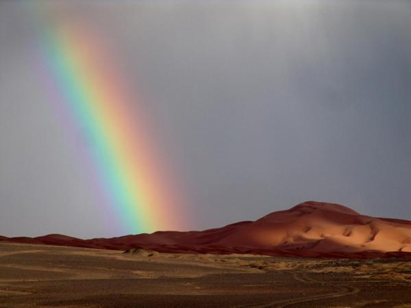 Hotel Kasbah Yasmina