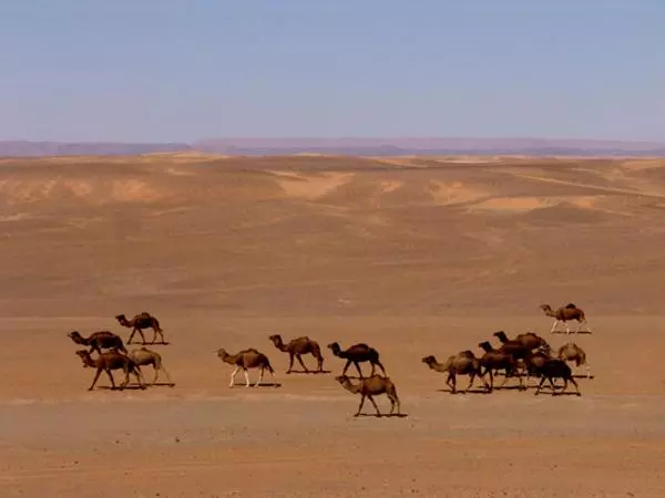 Hotelli Kasbah Yasmina