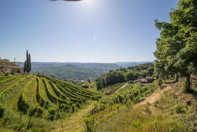 ホテル Quinta De Santa Júlia