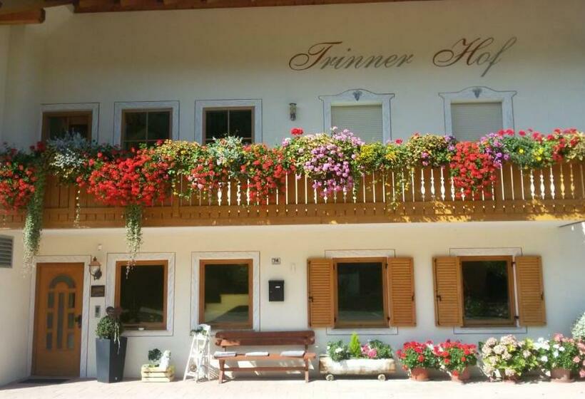 ホテル Trinnerhof