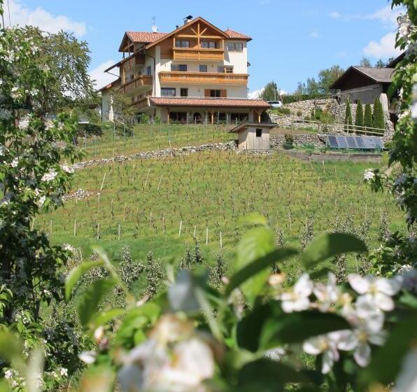 ホテル Trinnerhof