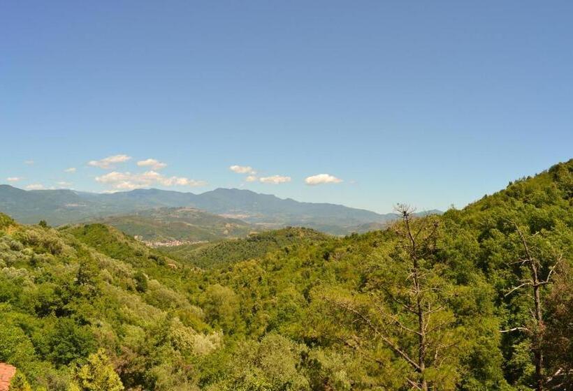 膳宿费 Casa Vacanze Santa Lucia