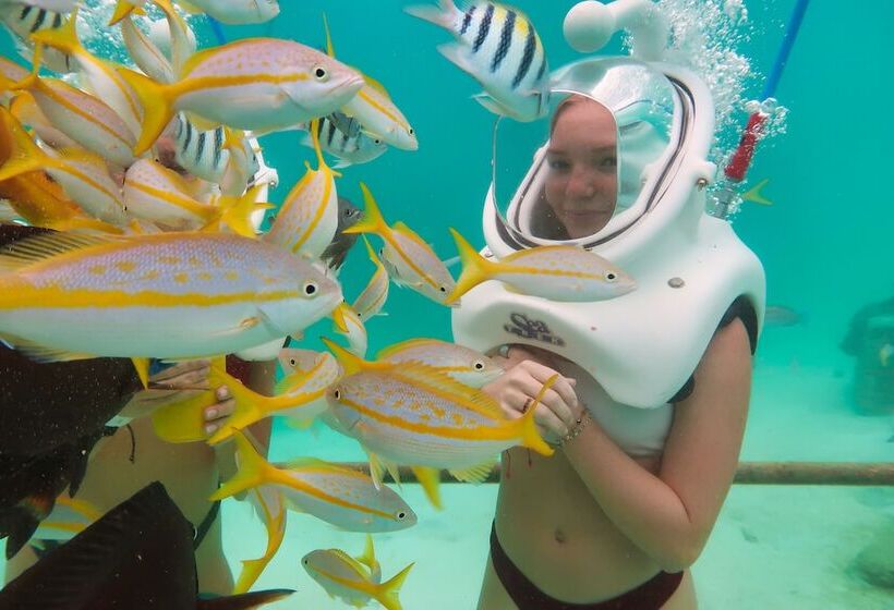 Sunset 16 Caya Dr. J.e.m. Arends 1