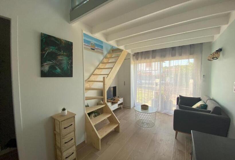 Superbe Appartement Climatisé Entre Mer Et Montagne