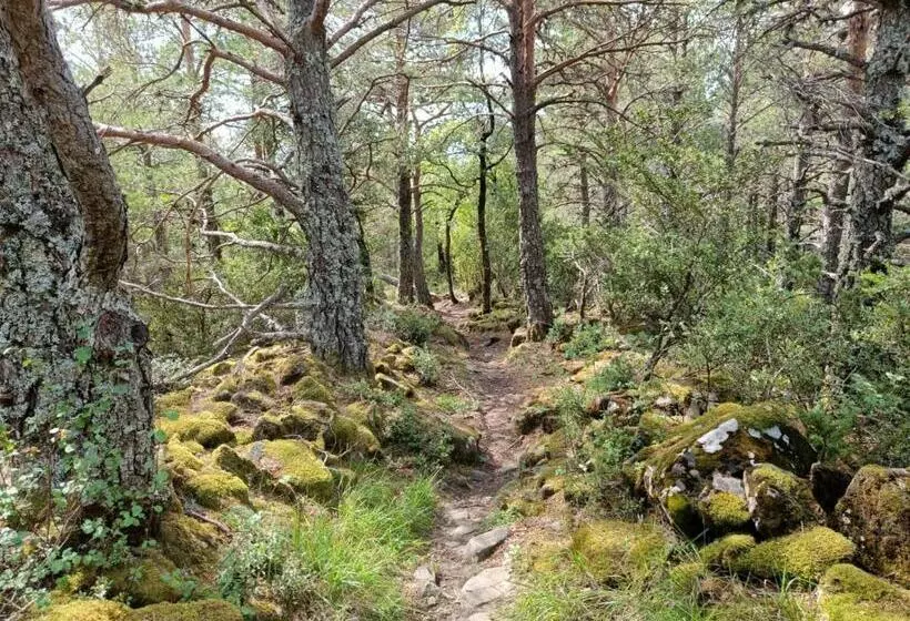 Bonito Y Luminoso Apartamento Con Wifi Aizú   Villanúa