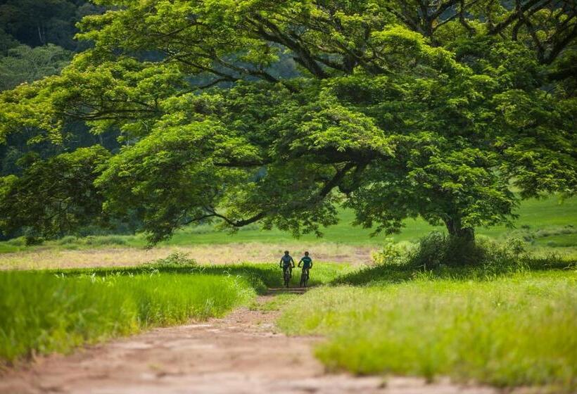 3 Bedr Ocean View Miramar 4e By Stay In Cr