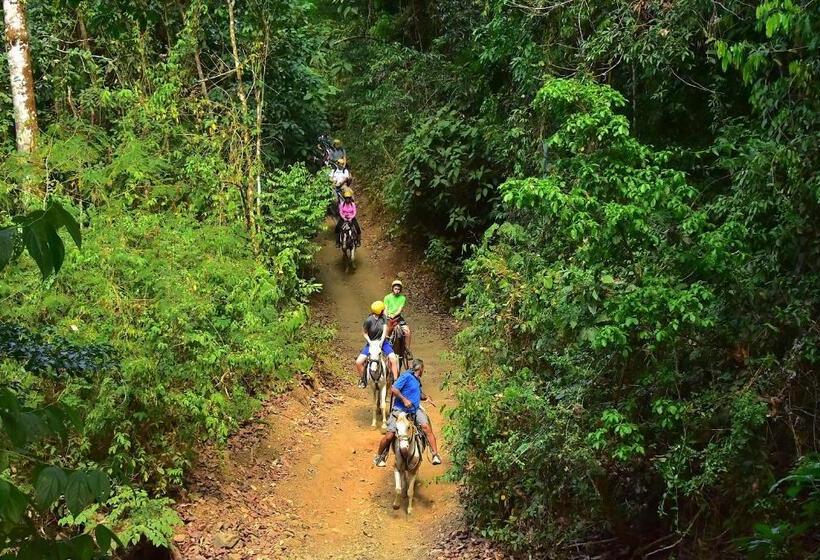 3 Bedr Ocean View Miramar 4e By Stay In Cr