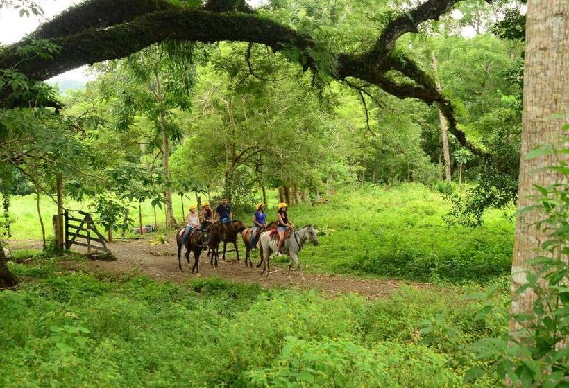 3 Bedr Ocean View Miramar 4e By Stay In Cr