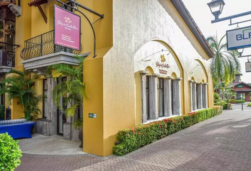 3 Bedr Ocean View Miramar 4e By Stay In Cr