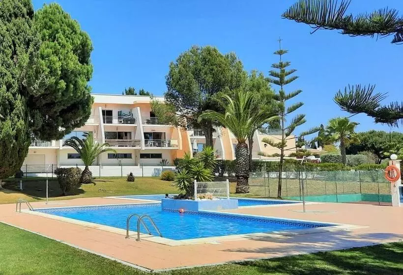 Armação De Pêra Brightness 2 With Pool By Homing