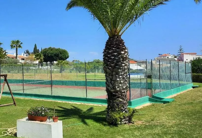 Armação De Pêra Brightness 2 With Pool By Homing