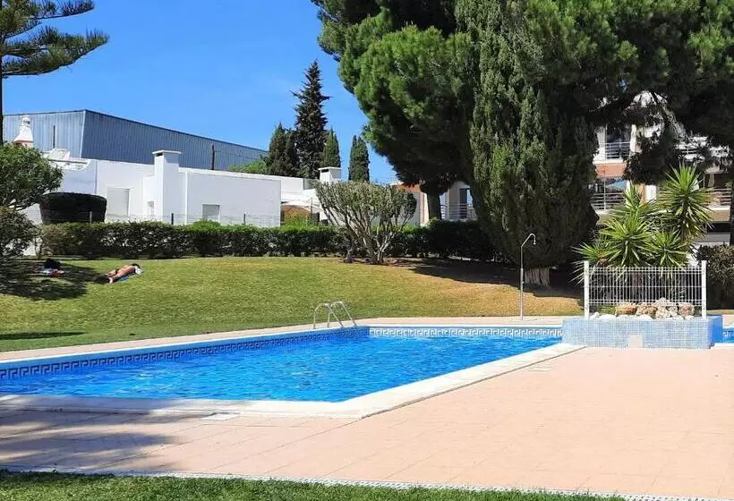 Armação De Pêra Brightness 2 With Pool By Homing