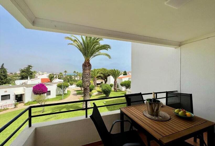 Armação De Pêra Brightness 2 With Pool By Homing