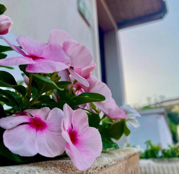 Casa Rachele Apartment