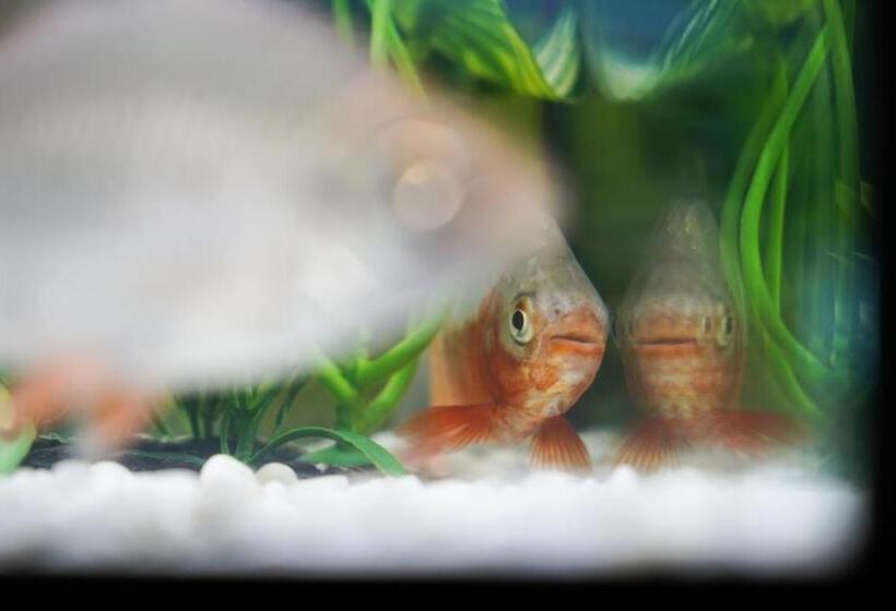 Corte Manzoni Independent Suite