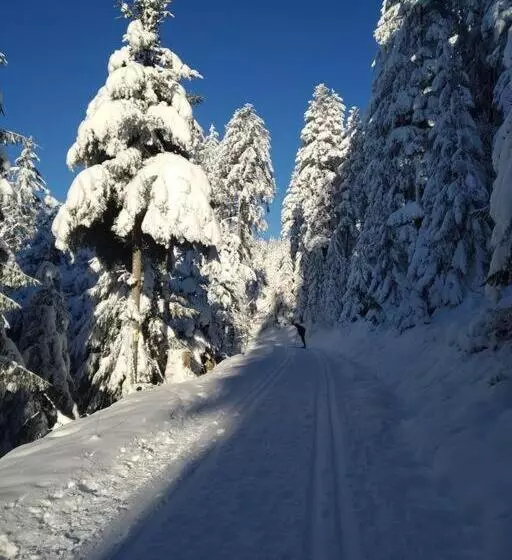 Ferienwohnung Panoramablick