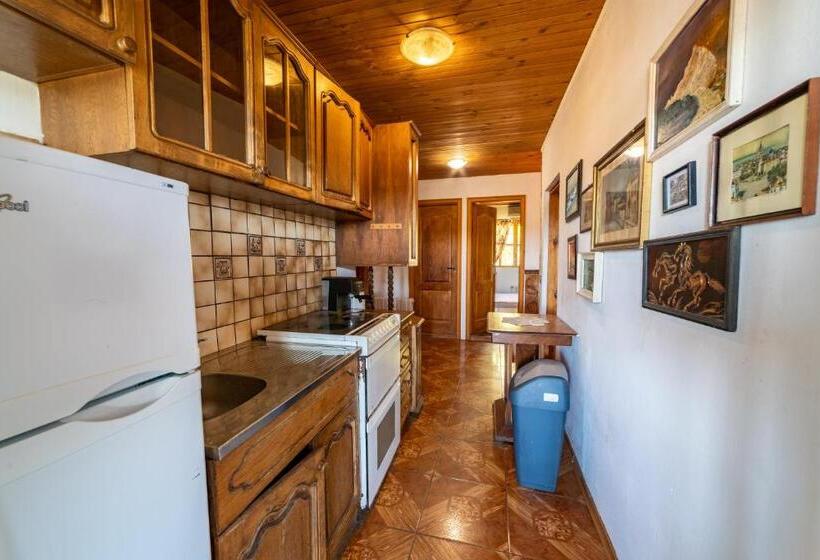 Pension винената къща