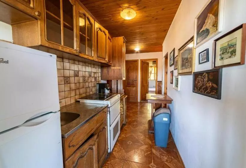 پانسیون винената къща