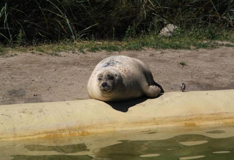 Ferienhof Schoof No1
