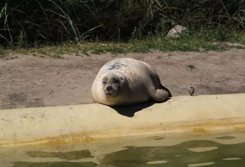 Ferienhof Schoof No1