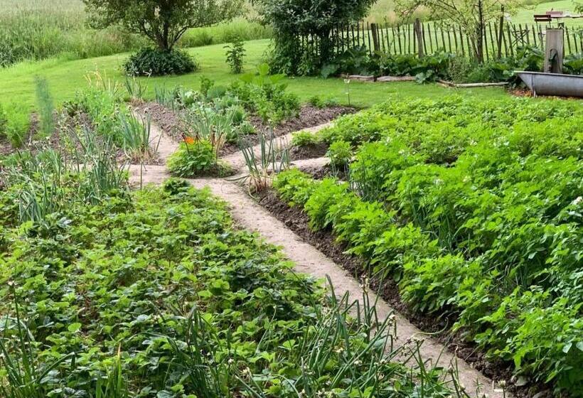 Ferienhof Schoof No1