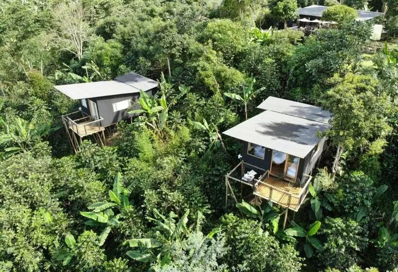 Hotelli La Palma Y El Tucán   Café Y Naturaleza