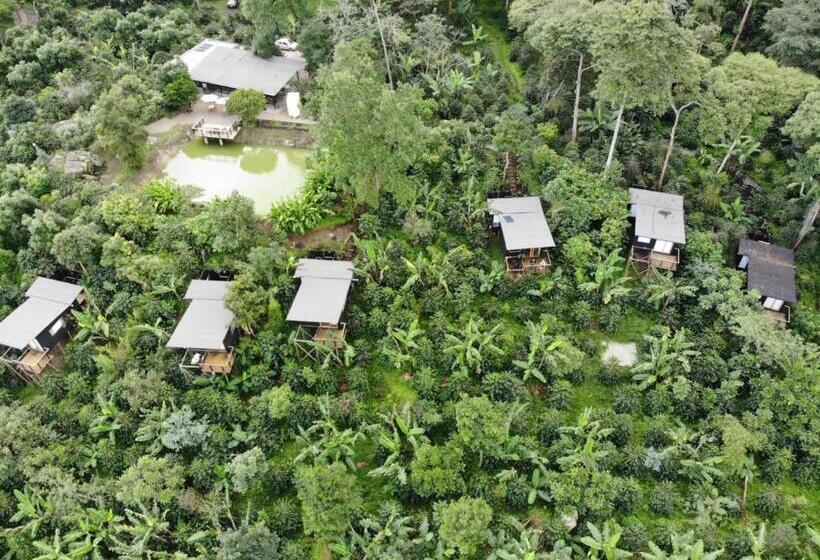 فندق La Palma Y El Tucán Café Y Naturaleza