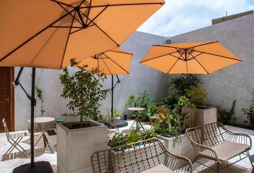 هتل Casa Da Djedja